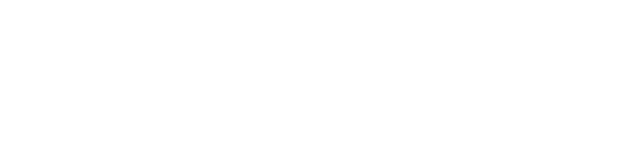 Pay with Paypal